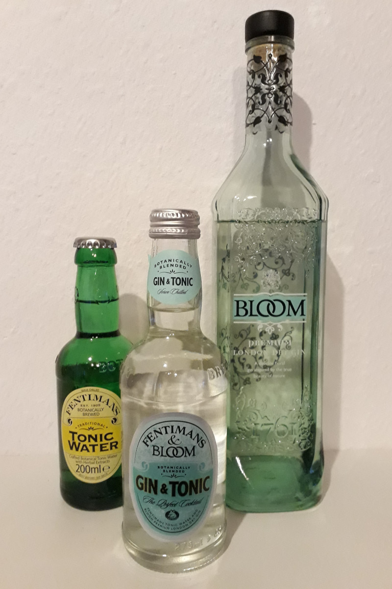 Premixed Gin Tonic Ginday