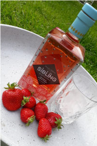 [Vergleich] Erdbeer Gin