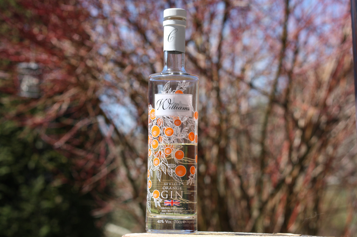 Williams Chase Seville Marmalade Gin Ginday